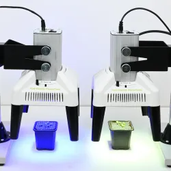 Câmeras de Imageamento de Fluorescência